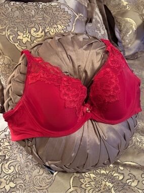 Chantelle Red Lace Underwire Full Coverage Bra with Center Accent